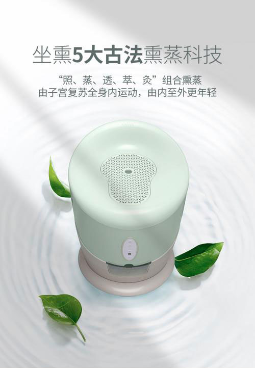 艾（ài）灸宮寒調理（lǐ）儀